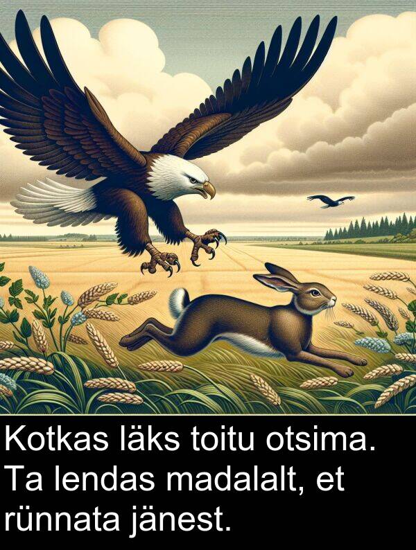 rünnata: Kotkas läks toitu otsima. Ta lendas madalalt, et rünnata jänest.