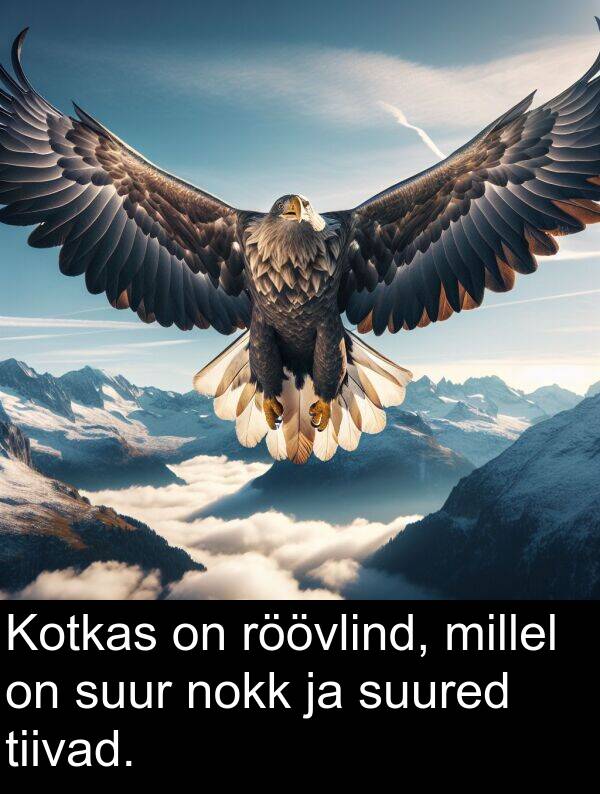millel: Kotkas on röövlind, millel on suur nokk ja suured tiivad.