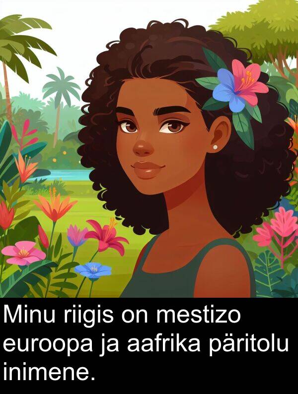 riigis: Minu riigis on mestizo euroopa ja aafrika päritolu inimene.