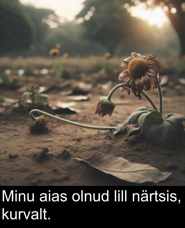 lill: Minu aias olnud lill närtsis, kurvalt.