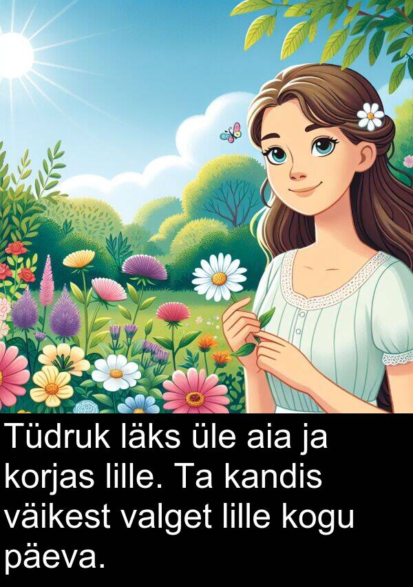 läks: Tüdruk läks üle aia ja korjas lille. Ta kandis väikest valget lille kogu päeva.