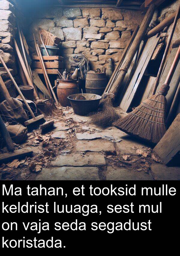 koristada: Ma tahan, et tooksid mulle keldrist luuaga, sest mul on vaja seda segadust koristada.