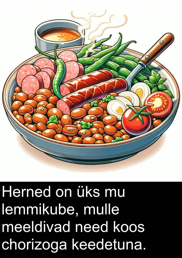 chorizoga: Herned on üks mu lemmikube, mulle meeldivad need koos chorizoga keedetuna.