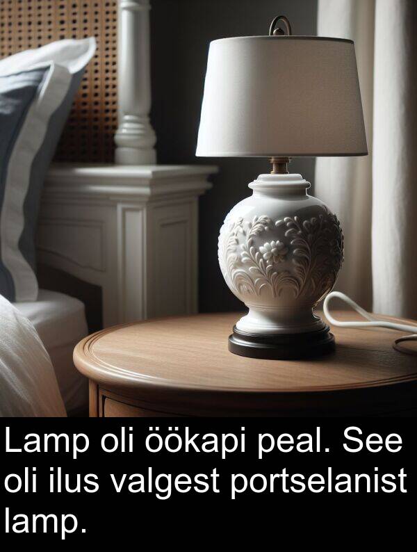 öökapi: Lamp oli öökapi peal. See oli ilus valgest portselanist lamp.