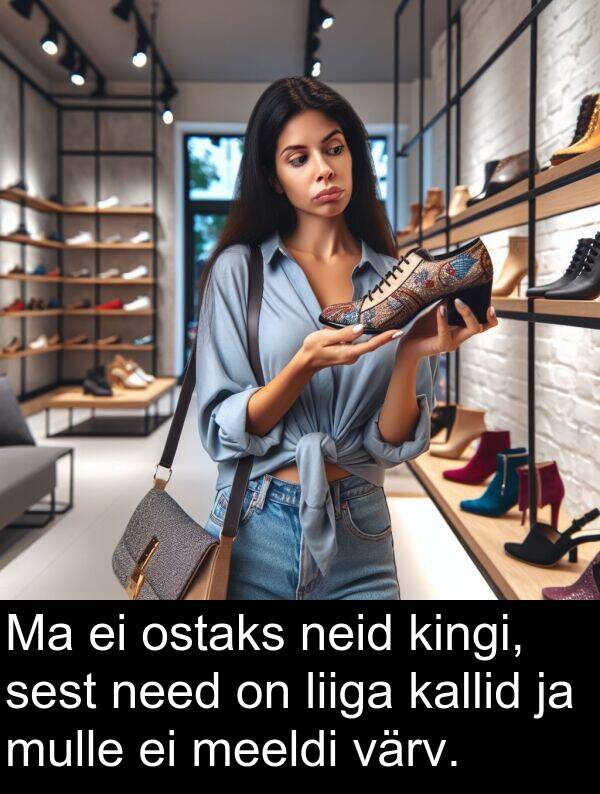 värv: Ma ei ostaks neid kingi, sest need on liiga kallid ja mulle ei meeldi värv.