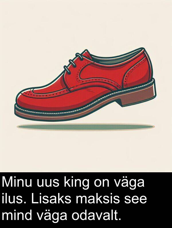 uus: Minu uus king on väga ilus. Lisaks maksis see mind väga odavalt.