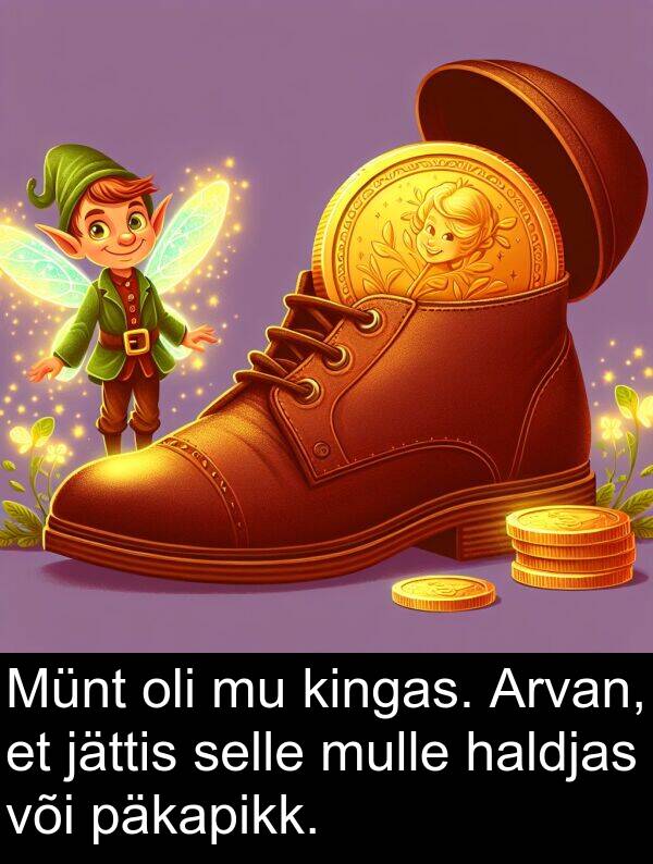 haldjas: Münt oli mu kingas. Arvan, et jättis selle mulle haldjas või päkapikk.