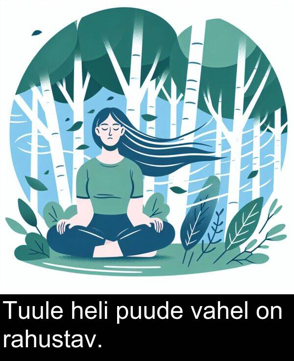 puude: Tuule heli puude vahel on rahustav.