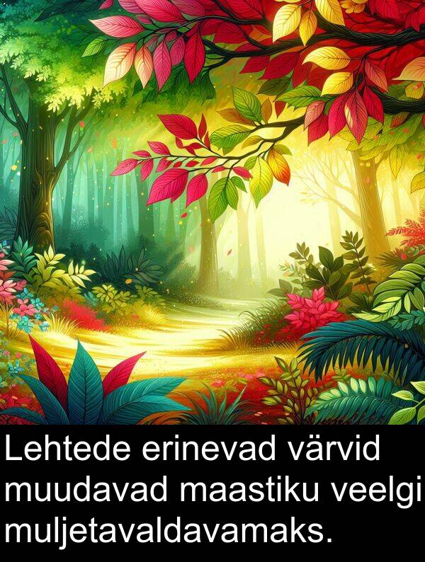 erinevad: Lehtede erinevad värvid muudavad maastiku veelgi muljetavaldavamaks.