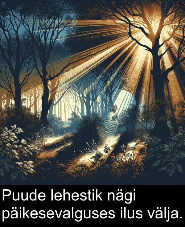 välja: Puude lehestik nägi päikesevalguses ilus välja.