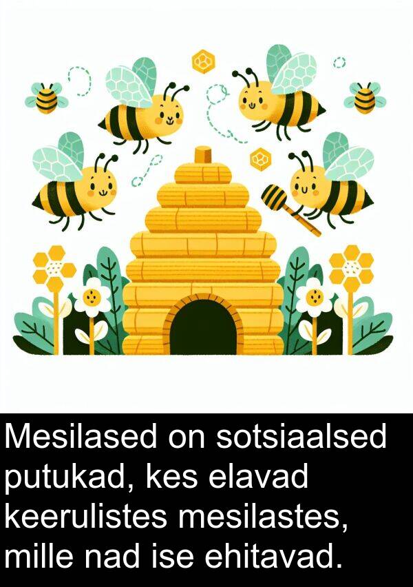 sotsiaalsed: Mesilased on sotsiaalsed putukad, kes elavad keerulistes mesilastes, mille nad ise ehitavad.