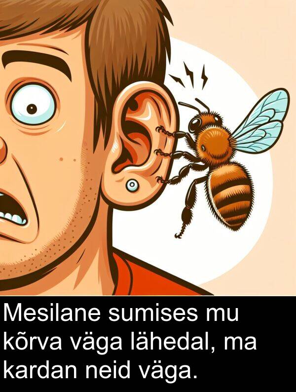 sumises: Mesilane sumises mu kõrva väga lähedal, ma kardan neid väga.