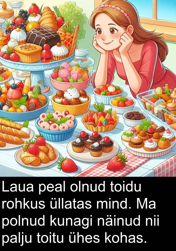rohkus: Laua peal olnud toidu rohkus üllatas mind. Ma polnud kunagi näinud nii palju toitu ühes kohas.