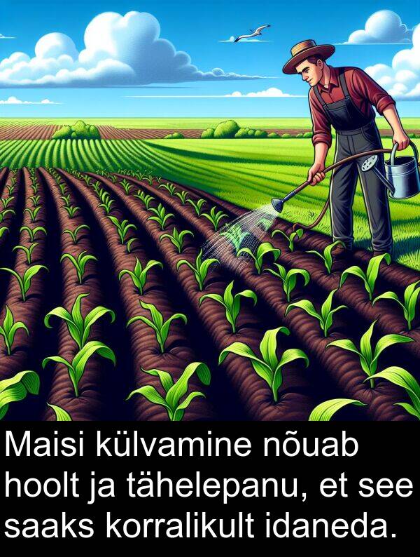 idaneda: Maisi külvamine nõuab hoolt ja tähelepanu, et see saaks korralikult idaneda.