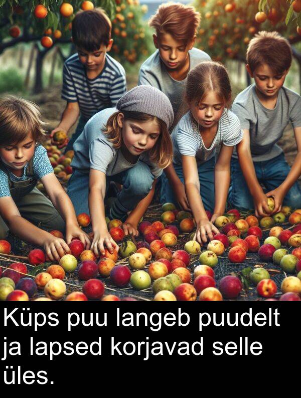 korjavad: Küps puu langeb puudelt ja lapsed korjavad selle üles.