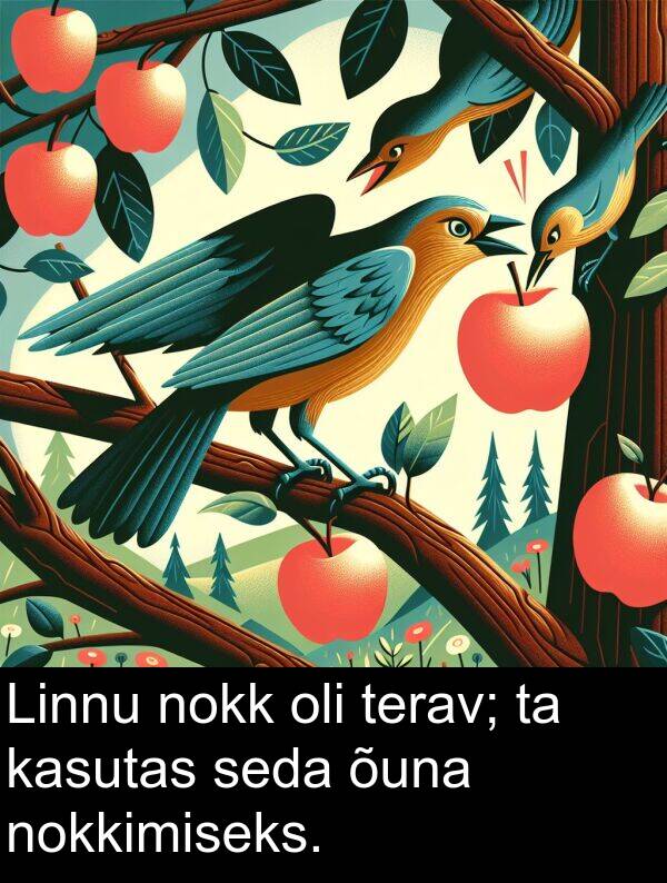 terav: Linnu nokk oli terav; ta kasutas seda õuna nokkimiseks.