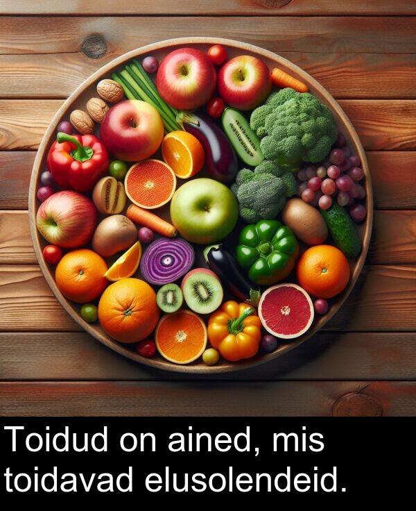 mis: Toidud on ained, mis toidavad elusolendeid.