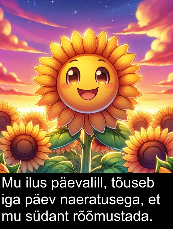 päevalill: Mu ilus päevalill, tõuseb iga päev naeratusega, et mu südant rõõmustada.