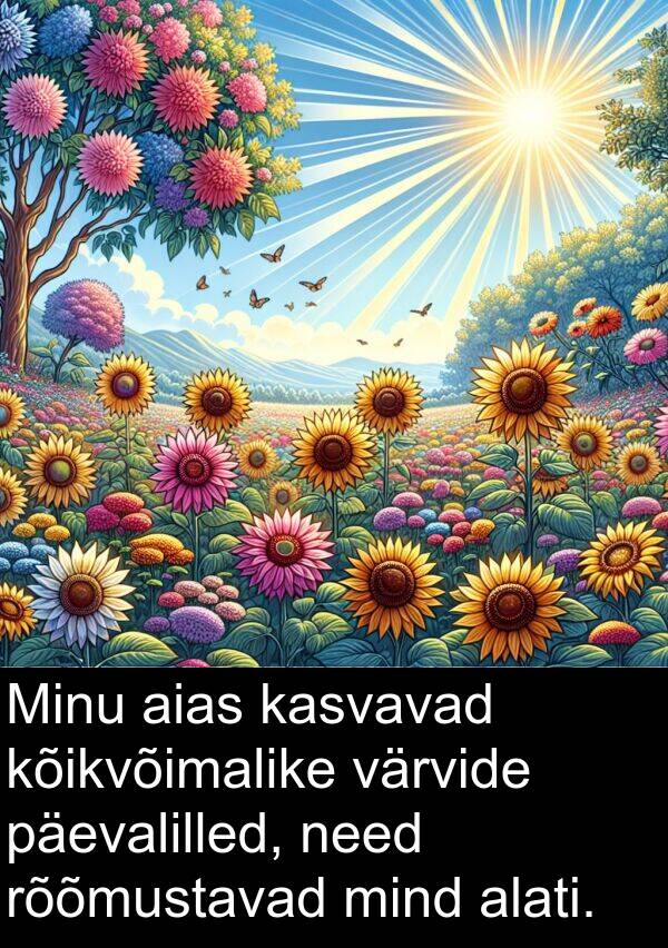 rõõmustavad: Minu aias kasvavad kõikvõimalike värvide päevalilled, need rõõmustavad mind alati.