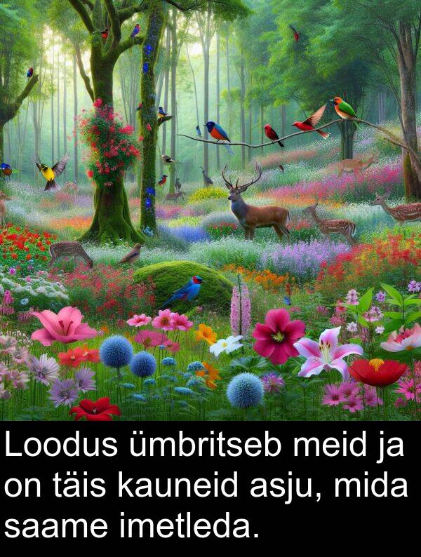 asju: Loodus ümbritseb meid ja on täis kauneid asju, mida saame imetleda.