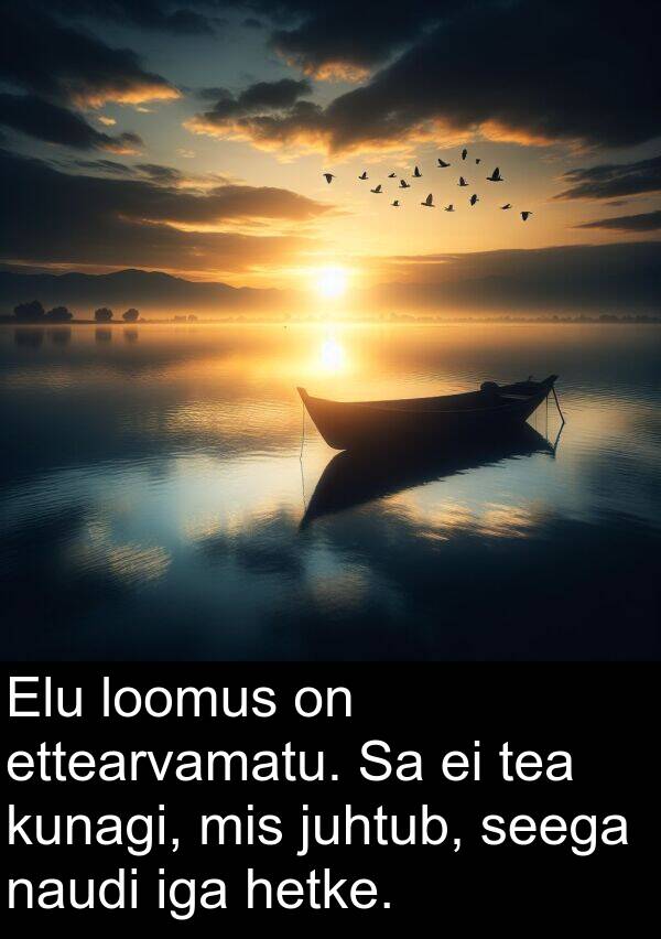 kunagi: Elu loomus on ettearvamatu. Sa ei tea kunagi, mis juhtub, seega naudi iga hetke.