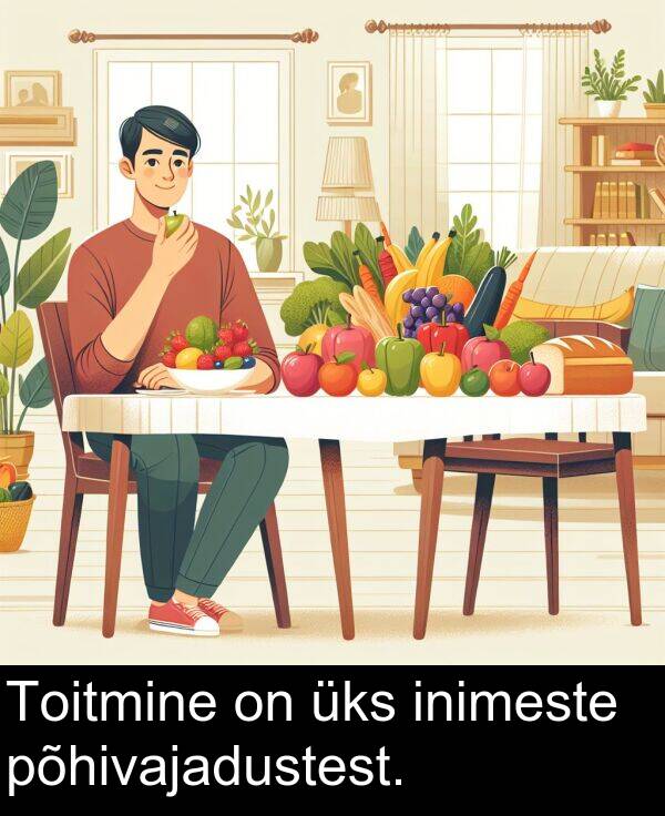põhivajadustest: Toitmine on üks inimeste põhivajadustest.