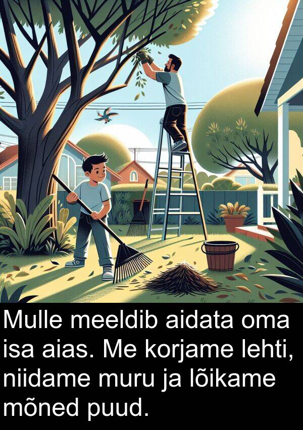 lõikame: Mulle meeldib aidata oma isa aias. Me korjame lehti, niidame muru ja lõikame mõned puud.
