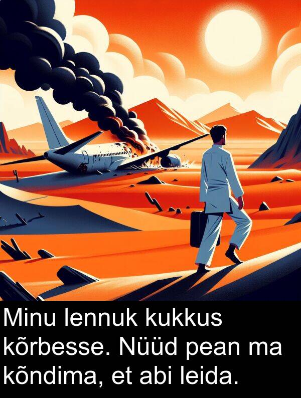 kukkus: Minu lennuk kukkus kõrbesse. Nüüd pean ma kõndima, et abi leida.