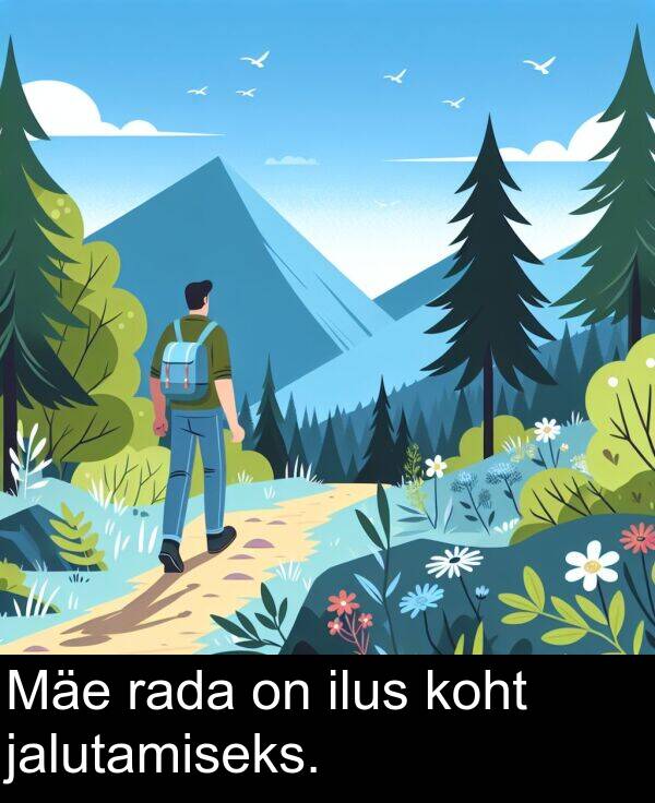 koht: Mäe rada on ilus koht jalutamiseks.