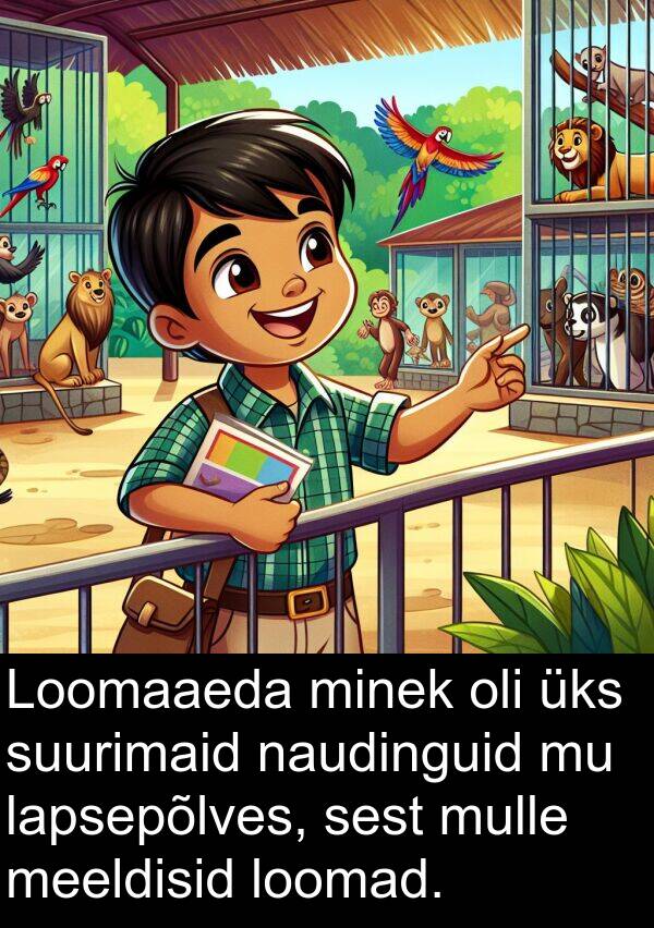 suurimaid: Loomaaeda minek oli üks suurimaid naudinguid mu lapsepõlves, sest mulle meeldisid loomad.