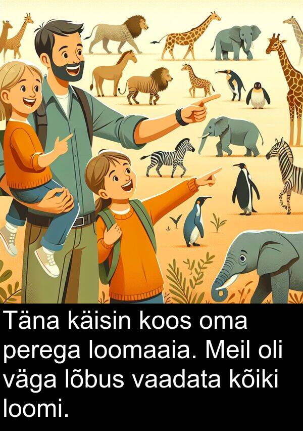 loomi: Täna käisin koos oma perega loomaaia. Meil oli väga lõbus vaadata kõiki loomi.