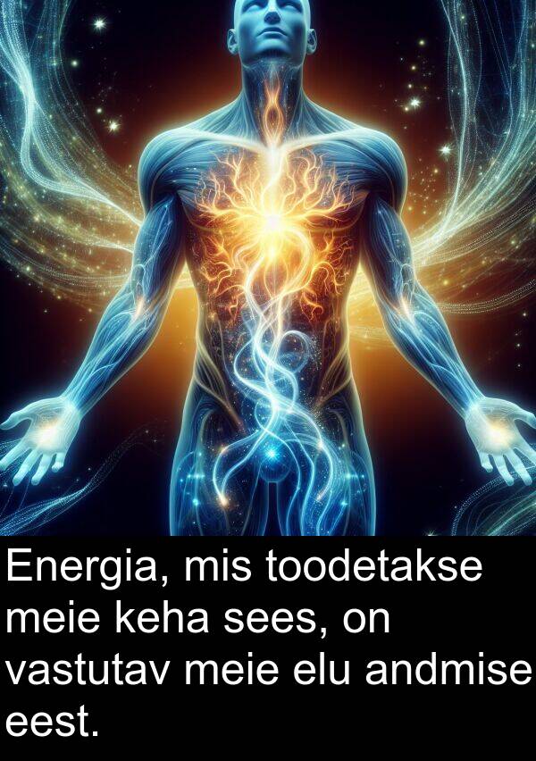toodetakse: Energia, mis toodetakse meie keha sees, on vastutav meie elu andmise eest.