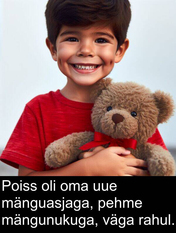 mänguasjaga: Poiss oli oma uue mänguasjaga, pehme mängunukuga, väga rahul.