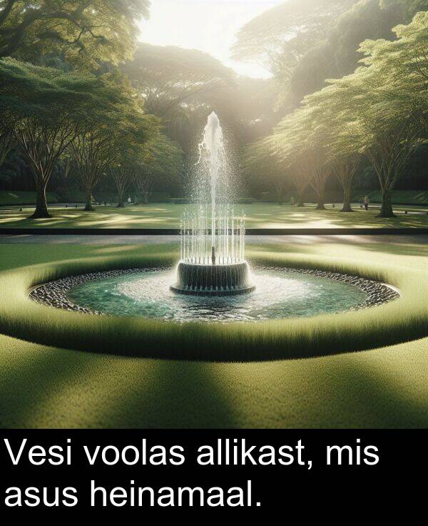 mis: Vesi voolas allikast, mis asus heinamaal.