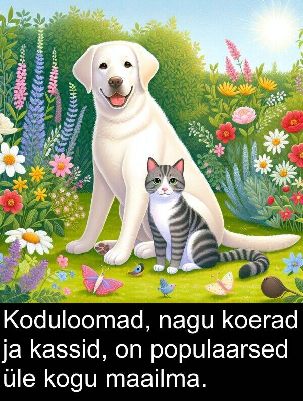 populaarsed: Koduloomad, nagu koerad ja kassid, on populaarsed üle kogu maailma.