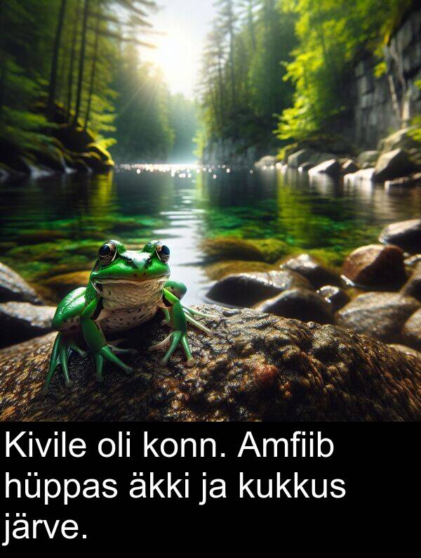 kukkus: Kivile oli konn. Amfiib hüppas äkki ja kukkus järve.