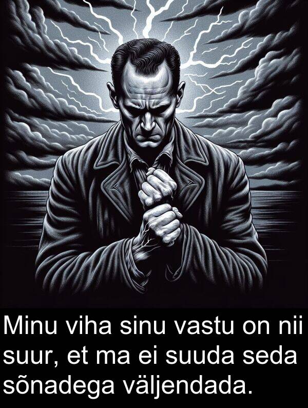 sõnadega: Minu viha sinu vastu on nii suur, et ma ei suuda seda sõnadega väljendada.