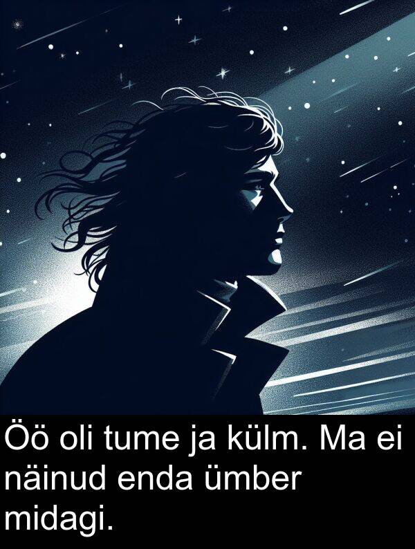külm: Öö oli tume ja külm. Ma ei näinud enda ümber midagi.