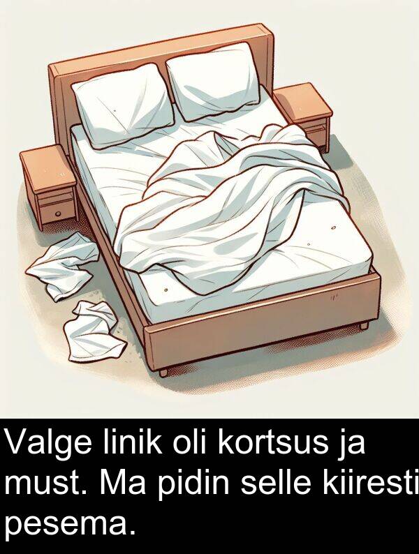 kortsus: Valge linik oli kortsus ja must. Ma pidin selle kiiresti pesema.