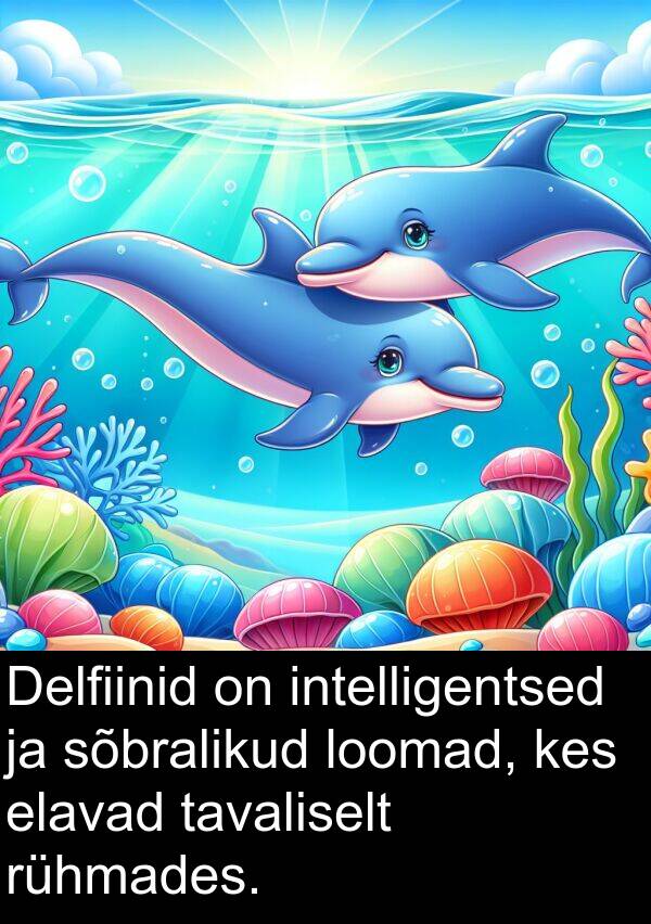 elavad: Delfiinid on intelligentsed ja sõbralikud loomad, kes elavad tavaliselt rühmades.