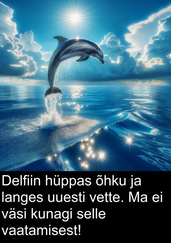 vaatamisest: Delfiin hüppas õhku ja langes uuesti vette. Ma ei väsi kunagi selle vaatamisest!