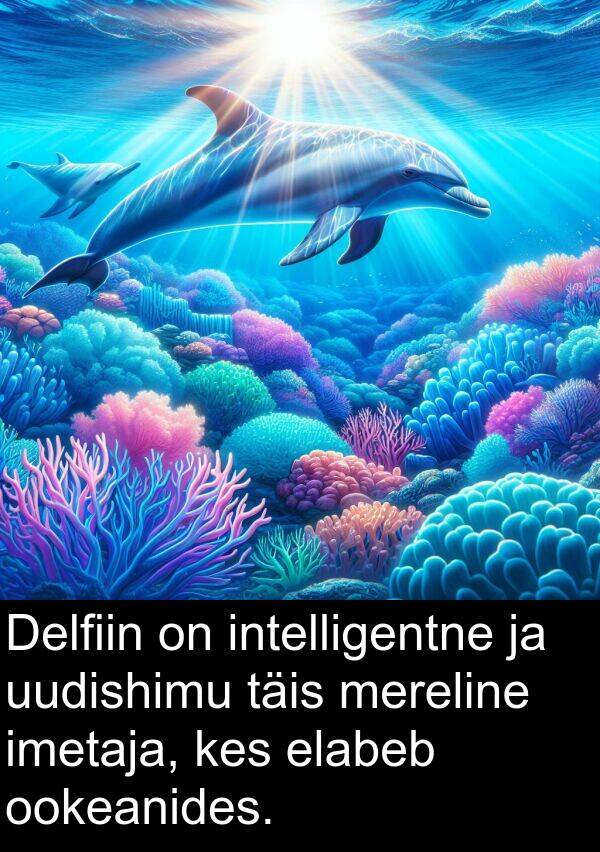 uudishimu: Delfiin on intelligentne ja uudishimu täis mereline imetaja, kes elabeb ookeanides.