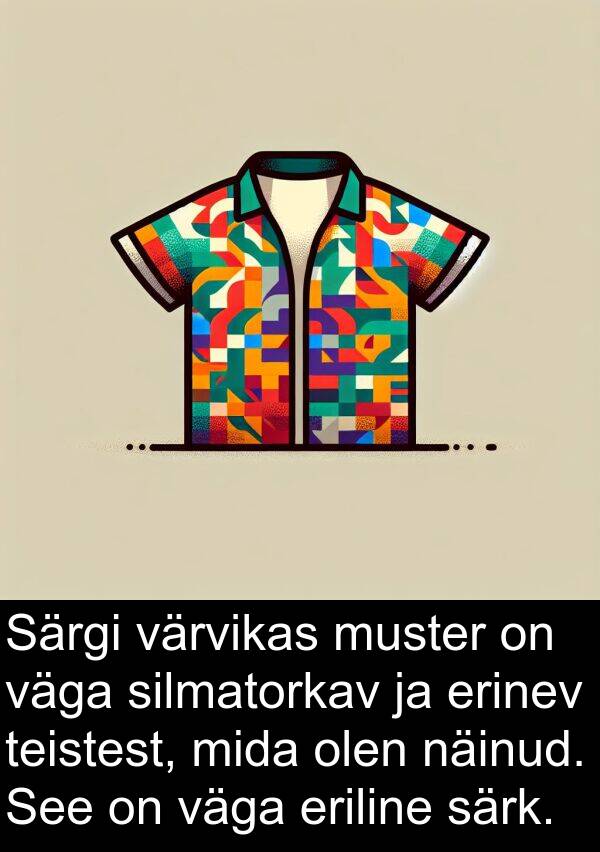 eriline: Särgi värvikas muster on väga silmatorkav ja erinev teistest, mida olen näinud. See on väga eriline särk.