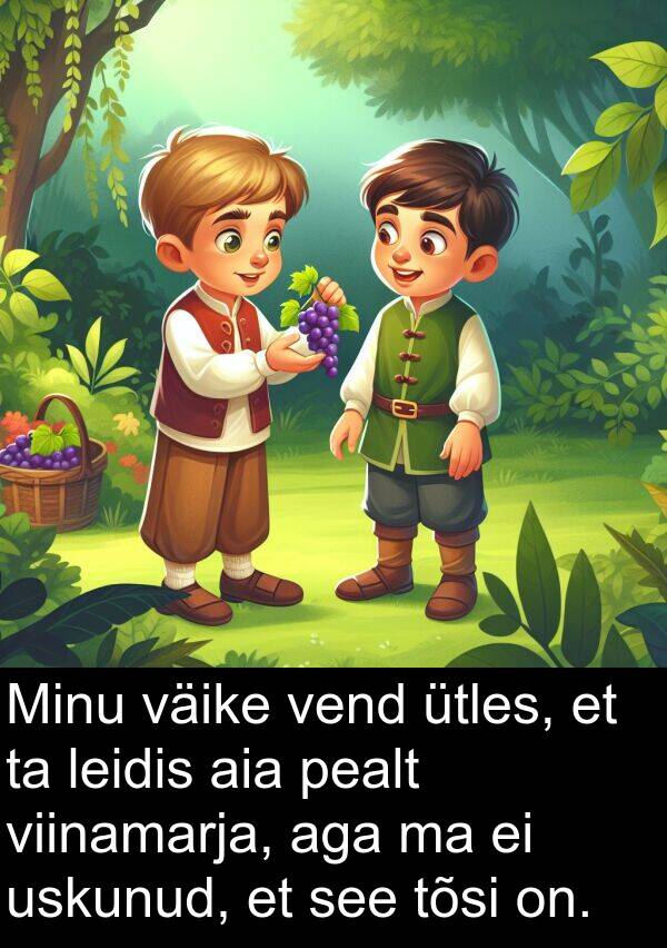 väike: Minu väike vend ütles, et ta leidis aia pealt viinamarja, aga ma ei uskunud, et see tõsi on.