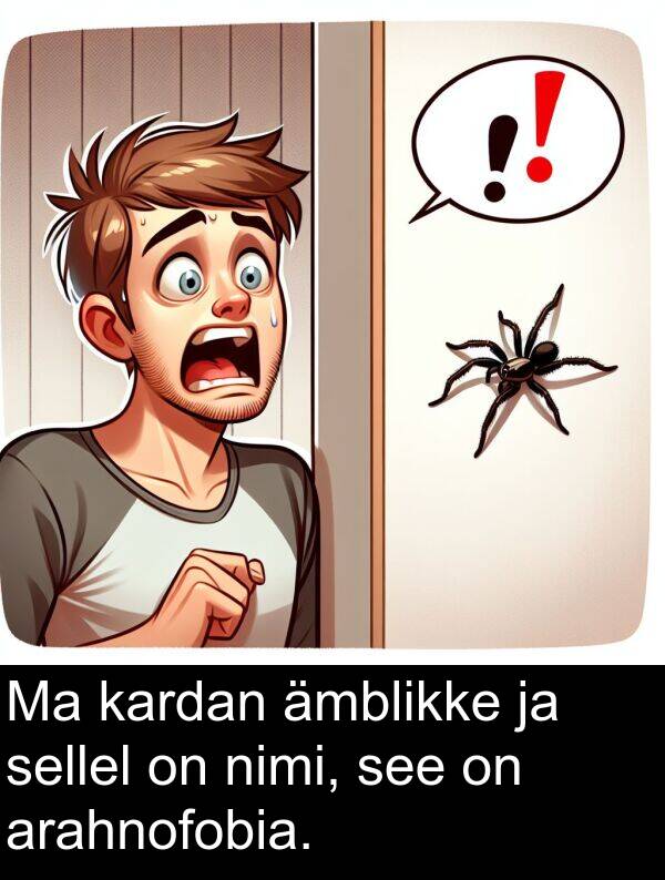 arahnofobia: Ma kardan ämblikke ja sellel on nimi, see on arahnofobia.