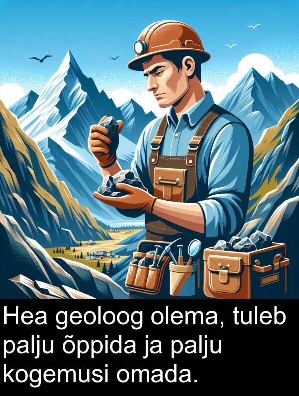 kogemusi: Hea geoloog olema, tuleb palju õppida ja palju kogemusi omada.