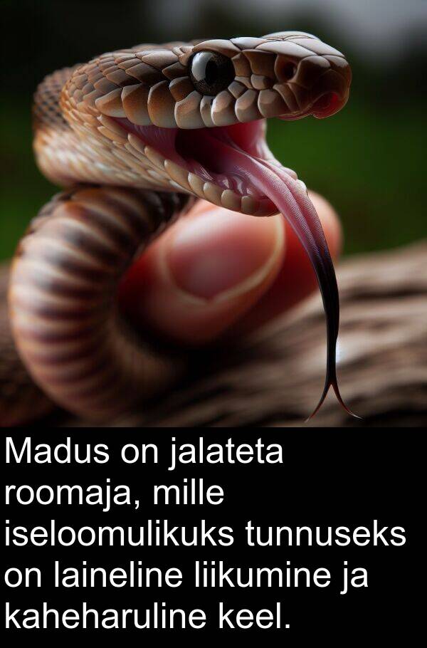 jalateta: Madus on jalateta roomaja, mille iseloomulikuks tunnuseks on laineline liikumine ja kaheharuline keel.