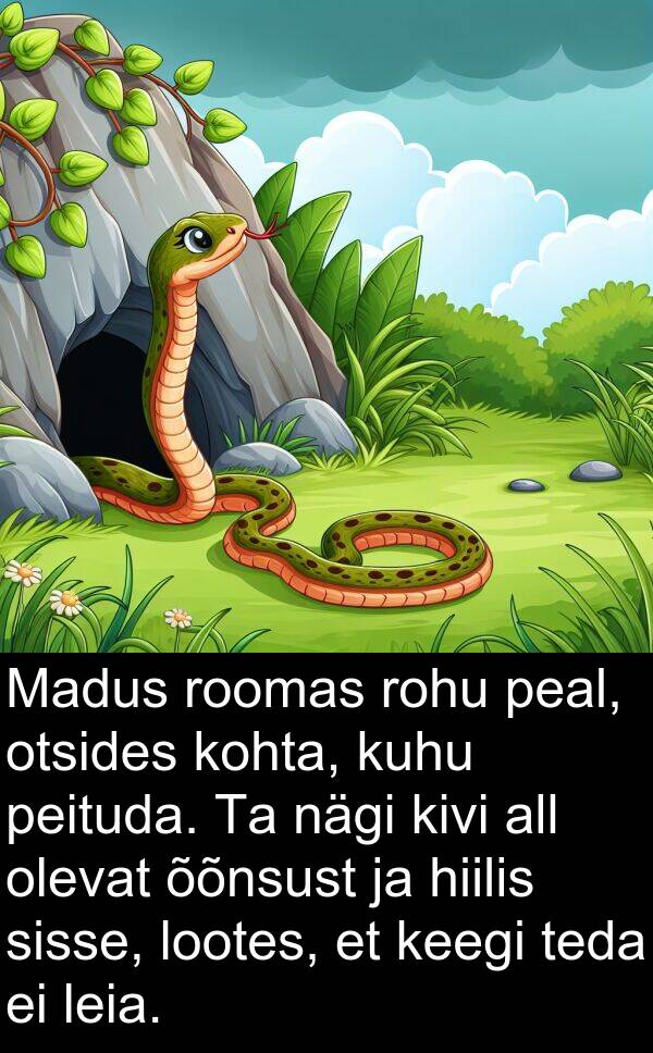 kohta: Madus roomas rohu peal, otsides kohta, kuhu peituda. Ta nägi kivi all olevat õõnsust ja hiilis sisse, lootes, et keegi teda ei leia.