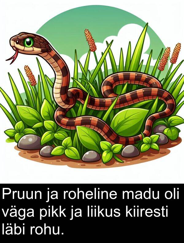 läbi: Pruun ja roheline madu oli väga pikk ja liikus kiiresti läbi rohu.