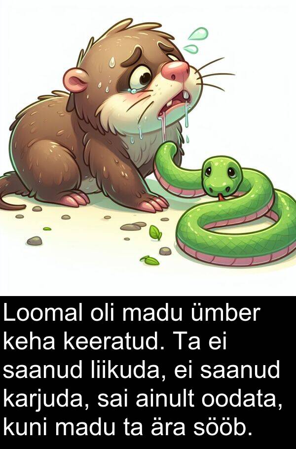sööb: Loomal oli madu ümber keha keeratud. Ta ei saanud liikuda, ei saanud karjuda, sai ainult oodata, kuni madu ta ära sööb.